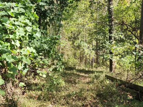 0 Mill Iron Rd, Goodview, VA 24095 photo 3
