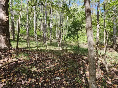 0 Mill Iron Rd, Goodview, VA 24095 photo 6