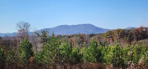 Tract 2 Johnson School Rd, Thaxton, VA 24174 photo 14