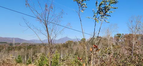 Tract 2 Johnson School Rd, Thaxton, VA 24174 photo 3
