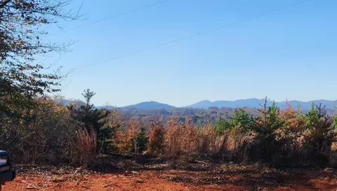Tract 2 Johnson School Rd, Thaxton, VA 24174 photo 2
