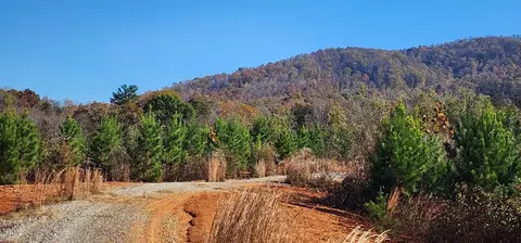 Tract 2 Johnson School Rd, Thaxton, VA 24174 photo 11