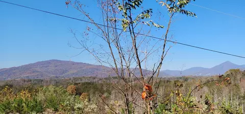 Tract 2 Johnson School Rd, Thaxton, VA 24174