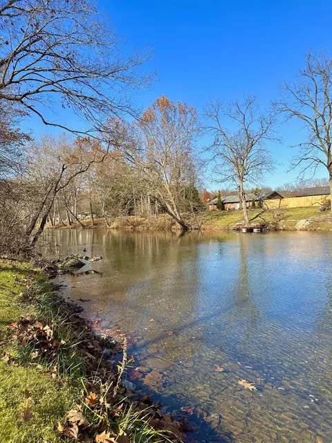 109 N River Rd, Covington, VA 24426 photo 7