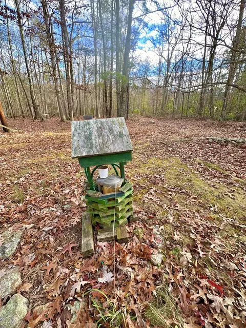 303 Jonestown Rd, Covington, VA 24426 photo 9