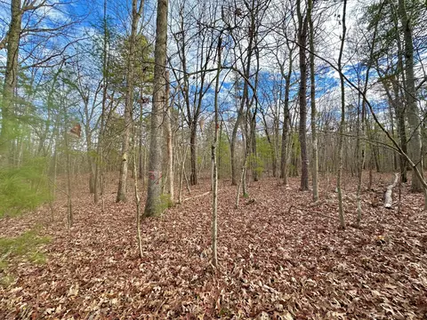 303 Jonestown Rd, Covington, VA 24426 photo 4