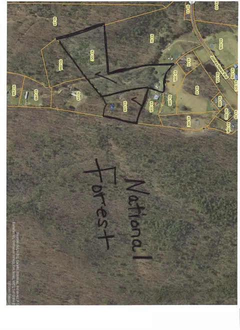 303 Jonestown Rd, Covington, VA 24426 photo 23