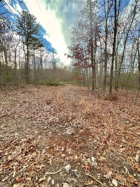 303 Jonestown Rd, Covington, VA 24426 photo 8