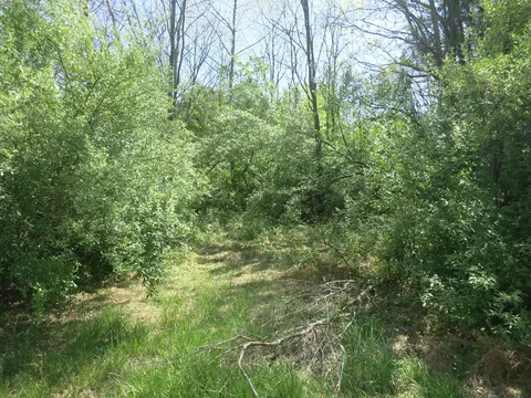 0 Goad Rd, Fincastle, VA 24090
