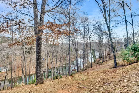 1170 Loggers Rd, Goodview, VA 24095 photo 45