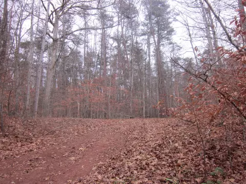0 Parkside Acres Ln, Wirtz, VA 24184