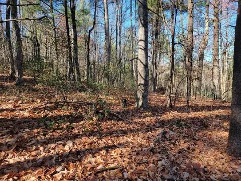 0 Craig Valley Dr, Catawba, VA 24070