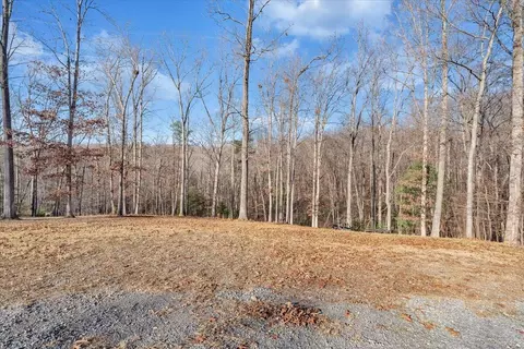 Undisclosed, Goodview, VA 24095 photo 37