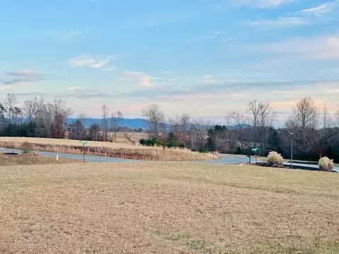 lot25 Royal Tern St, Wirtz, VA 24184