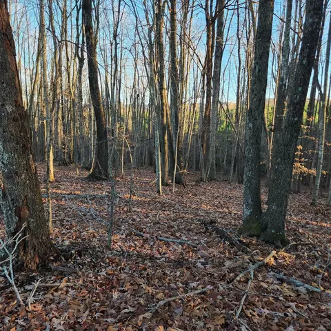 0 Circle Creek Rd, Penhook, VA 24137