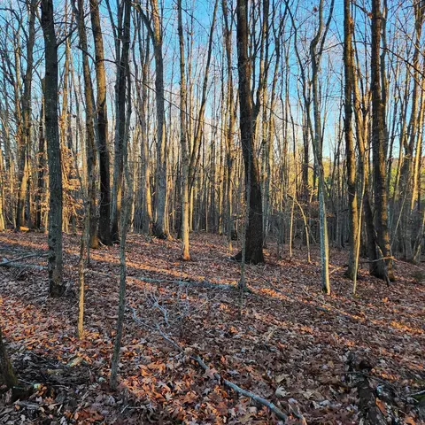 0 Circle Creek Rd, Penhook, VA 24137 photo 2