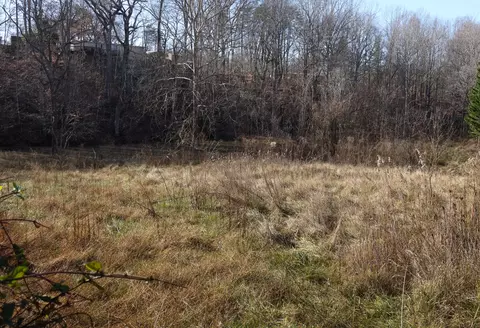 0 Doe Run Dr, Vinton, VA 24179
