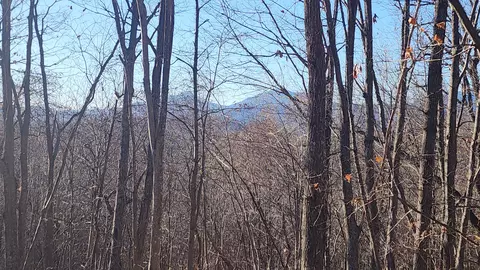 1526 Mushroom Ln, Goode, VA 24556