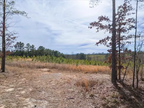 0 Bishops Creek Rd, Huddleston, VA 24104