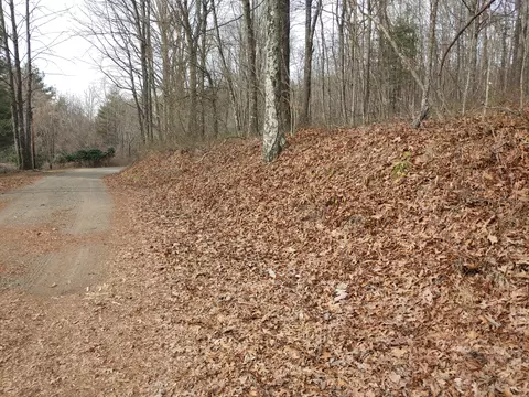 0 Calvary Way Rd, Laurel Fork, VA 24352