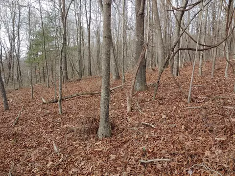 0 Calvary Way Rd, Laurel Fork, VA 24352 photo 9