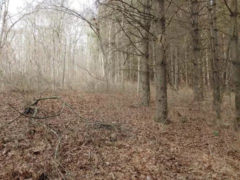 0 Calvary Way Rd, Laurel Fork, VA 24352 photo 6
