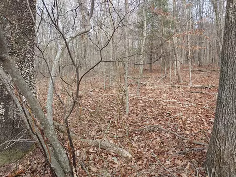 0 Calvary Way Rd, Laurel Fork, VA 24352 photo 7
