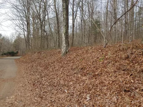 0 Calvary Way Rd, Laurel Fork, VA 24352 photo 8