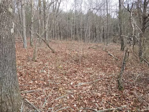 0 Calvary Way Rd, Laurel Fork, VA 24352 photo 3