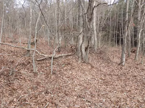 0 Calvary Way Rd, Laurel Fork, VA 24352 photo 2