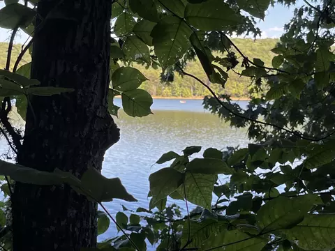 lot208 Acres Ct, Lynch Station, VA 24571