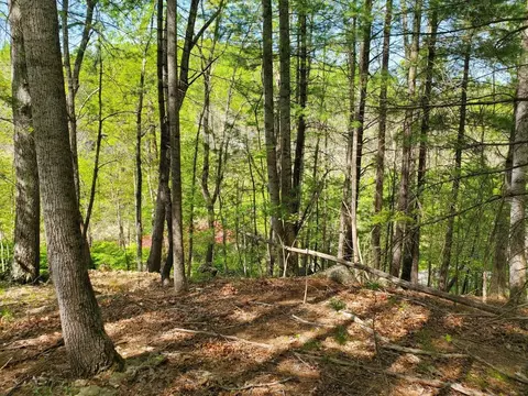 0 Willow Spring Rd, Roanoke, VA 24018 photo 2
