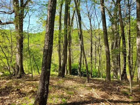 0 Willow Spring Rd, Roanoke, VA 24018 photo 3