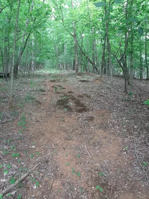 0 Wilson Rd, Boones Mill, VA 24065