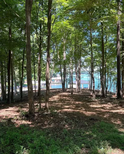 lot190 Silver Tee Dr, Penhook, VA 24137 photo 33