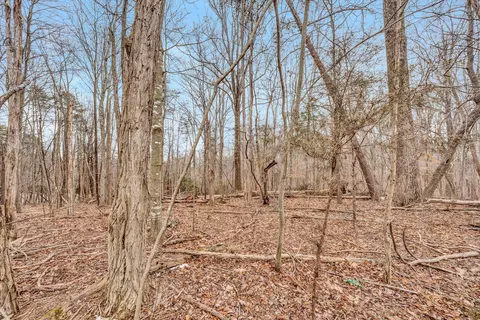 lot376 Morgans Mill Dr, Penhook, VA 24137 photo 6