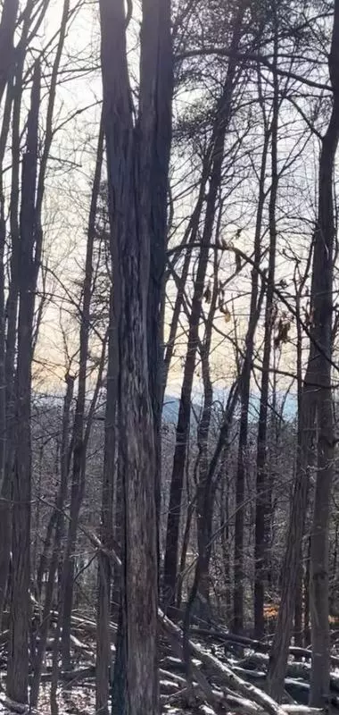 lot376 Morgans Mill Dr, Penhook, VA 24137 photo 15