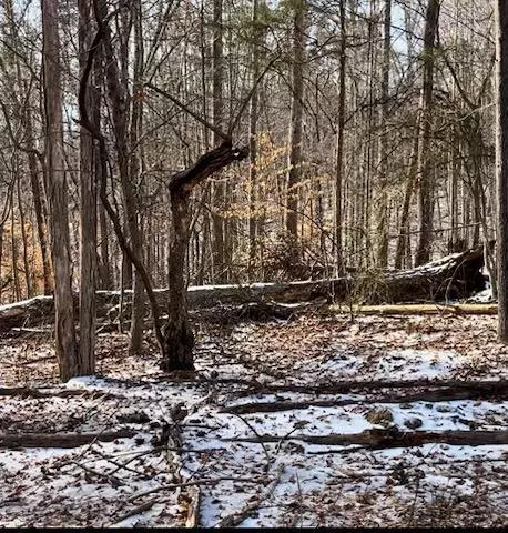 lot376 Morgans Mill Dr, Penhook, VA 24137 photo 14