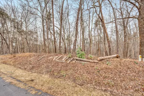 lot376 Morgans Mill Dr, Penhook, VA 24137 photo 3