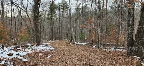 0 Thompson Ridge Rd, Ferrum, VA 24088 photo 5