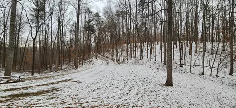 0 Thompson Ridge Rd, Ferrum, VA 24088 photo 6