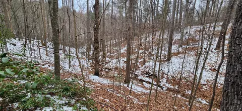 0 Thompson Ridge Rd, Ferrum, VA 24088 photo 9