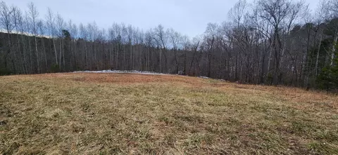 0 Thompson Ridge Rd, Ferrum, VA 24088 photo 7