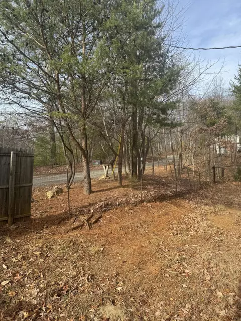 1069 Shortcut Dr, Woolwine, VA 24185 photo 32