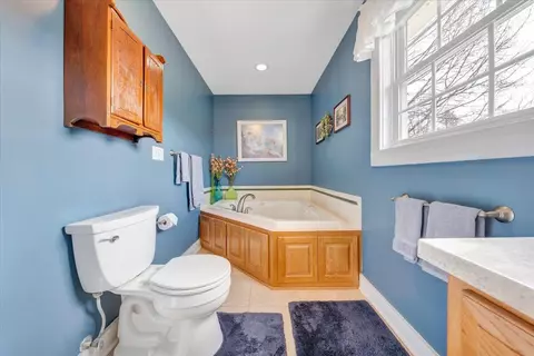 Bath - 11923 Franklin St, Ferrum, VA 24088 photo 5 of 6