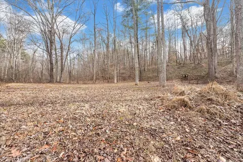 View/Area - 11923 Franklin St, Ferrum, VA 24088 photo 7 of 25