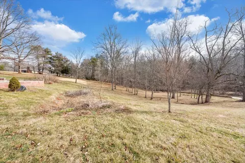 View/Area - 11923 Franklin St, Ferrum, VA 24088 photo 3 of 25