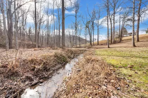 View/Area - 11923 Franklin St, Ferrum, VA 24088 photo 4 of 25