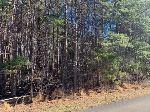 lot30 Tracy Dr, Moneta, VA 24121