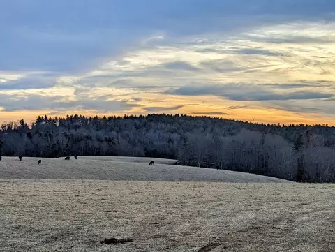 0 Good Neighbors Rd NE, Check, VA 24072